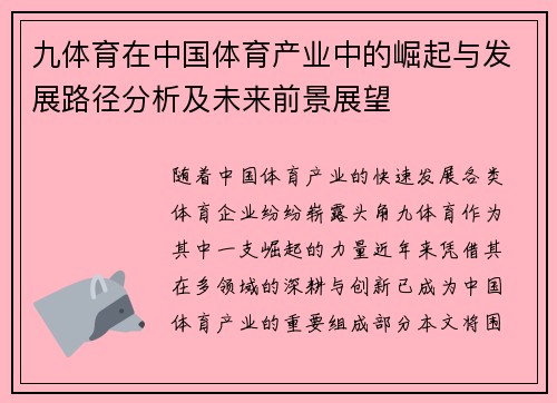 九体育在中国体育产业中的崛起与发展路径分析及未来前景展望